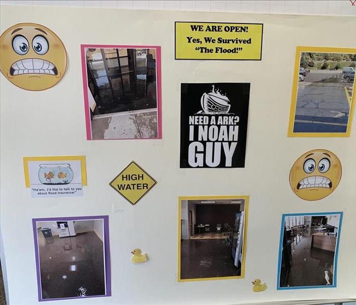 funny flood stickers