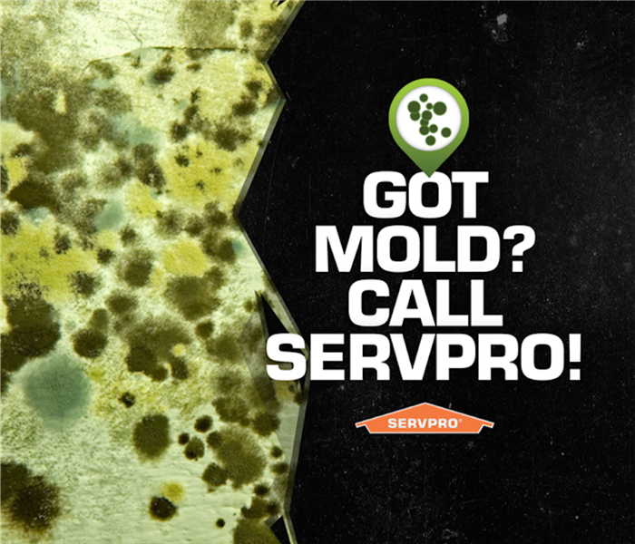 SERVPRO mold sign